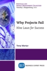 Image for Why Projects Fail: Nine Laws for Success