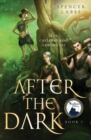 Image for The Castaway King Chronicles : After The Dark Book 1