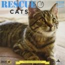 Image for Rescue Cats 2019