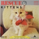 Image for Rescue Kittens 2019