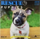 Image for Rescue Puppies 2019