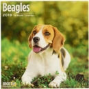 Image for Beagles 2019