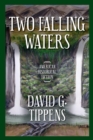 Image for Two Falling Waters