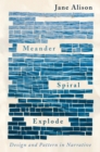 Image for Meander, Spiral, Explode: Design and Pattern in Narrative