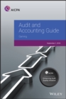 Image for Audit and Accounting Guide