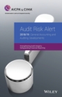 Image for Audit Risk Alert: General Accounting and Auditing Developments 2018/19