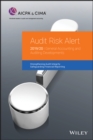 Image for Audit Risk Alert : General Accounting and Auditing Developments 2019/2020