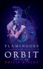 Image for Flamingoes in Orbit