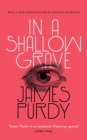 Image for In a Shallow Grave (Valancourt 20th Century Classics)