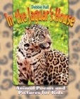 Image for In the Jaguar&#39;s House
