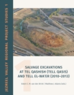 Image for Salvage Excavations at Tel Qashish (Tell Qasis) and Tell El-Wa&#39;er (2010-2013)