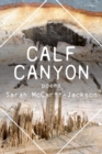 Image for Calf Canyon: Poems