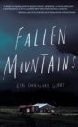 Image for Fallen mountains: a novel