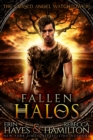 Image for Fallen Halos