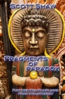 Image for Fragments of Paradox : Further Zen Ramblings from the Internet