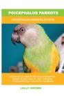 Image for Poicephalus Parrots : Poicephalus Parrots As Pets