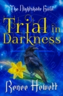 Image for Trial in Darkness