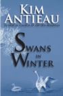 Image for Swans in Winter