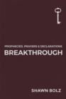 Image for Breakthrough: Prophecies, Prayers &amp; Declarations