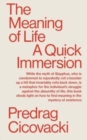 Image for The Meaning of Life : A Quick Immersion
