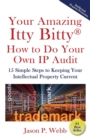 Image for Your Amazing Itty Bitty(R) How to Do Your Own IP Audit : 15 Simple Steps to Keeping Your Intellectual Property Current