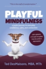 Image for Playful Mindfulness : a joyful journey to everyday confidence, calm, and connection