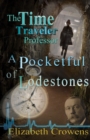 Image for The Time Traveler Professor, Book Two