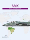 Image for AMX  : Brazilian-Italian fighter-bomber