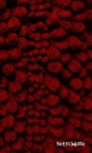 Image for Fuzzball Sketchbook - Lava Red