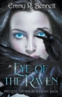 Image for Eye of the Raven