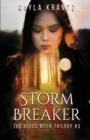 Image for Storm Breaker