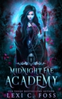 Image for Midnight Fae Academy