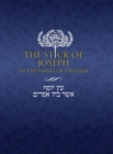 Image for The Stick of Joseph in the Hand of Ephraim : Large Print