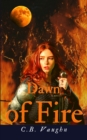 Image for Dawn of Fire