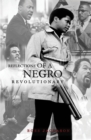 Image for Reflections of a Negro Revolutionary