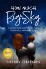 Image for How Much Big Is the Sky: A Memoir of a Mother&#39;s Love and Unfathomable Loss