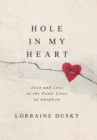 Image for Hole in My Heart : Love and Loss in the Fault Lines of Adoption