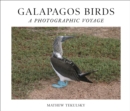 Image for Galapagos Birds : A Photographic Voyage