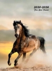 Image for 2020-2024 Five Year Planner : Five Year Monthly Planner 8.5 x 11 with Hardcover (Wild Stallion)