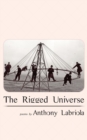 Image for The Rigged Universe