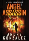 Image for Angel Assassin (Arielle Lucila Series, Book 1)