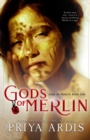 Image for Gods of Merlin