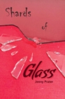 Image for Shards of Glass