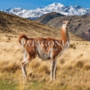 Image for Patagonia National Park: Chile