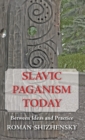 Image for Slavic Paganism Today : Between Ideas and Practice