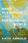 Image for Brief Flashings in the Phenomenal World
