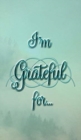 Image for I&#39;m Grateful For...