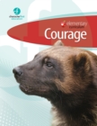 Image for Elementary Curriculum Courage