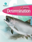 Image for Elementary Curriculum Determination