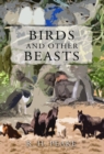 Image for Birds and Other Beast